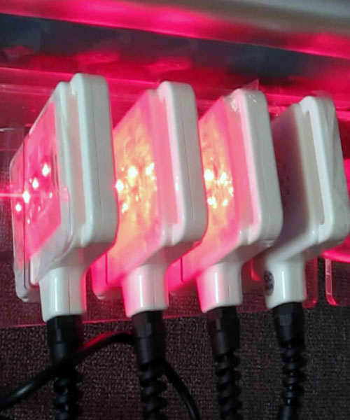 Lipo Laser perfection -Ref. 1449