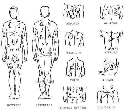 Passive Exercise Body Portable Ref.:1433